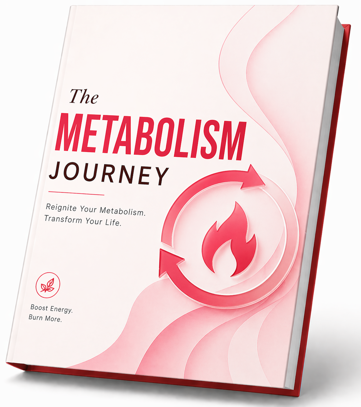 JellyThin buy now Metabolism Journey Guide digital bonus official